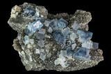 Blue Cubic Fluorite on Quartz - China #111909-1